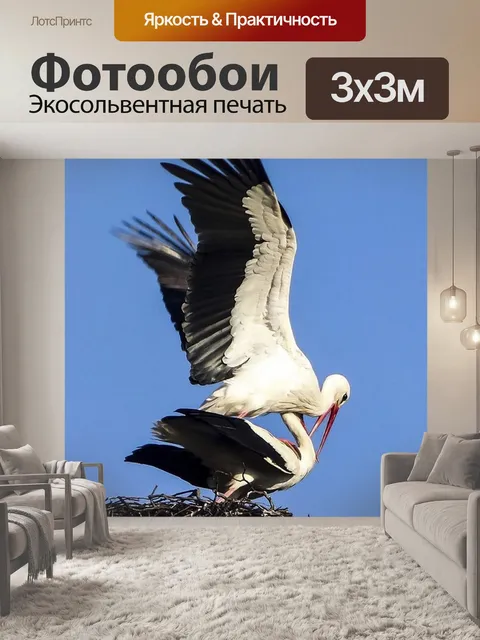 Фотообои Птица