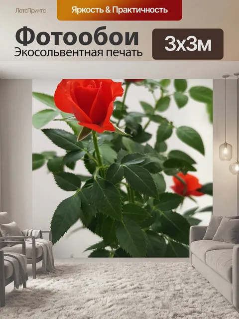 Фотообои Розы