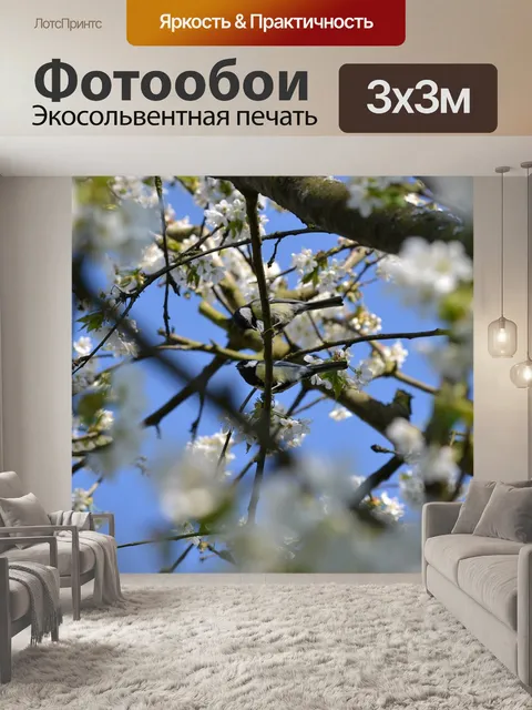 Фотообои Птица