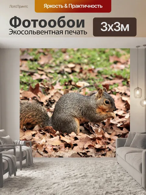 Фотообои Белка лисицы в осенних листьях