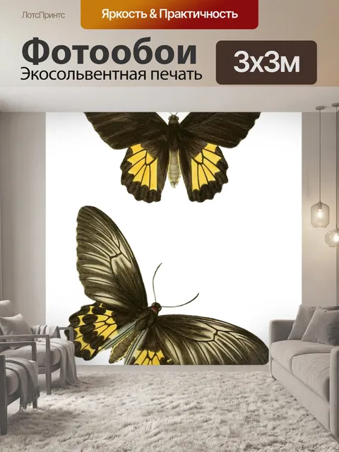 Фотообои Окрашенные винтажные бабочки