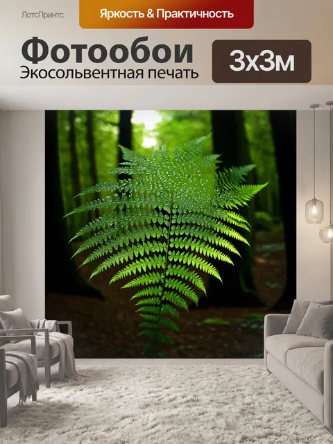 Фотообои великолепный папоротник, раскинувший свои листья в открытом лесу, сочетающий яркие и тёмные оттенки зелёного