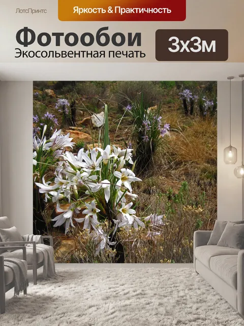 Фотообои белые цветы на черной палке лилии