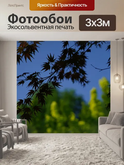 Фотообои Деревья