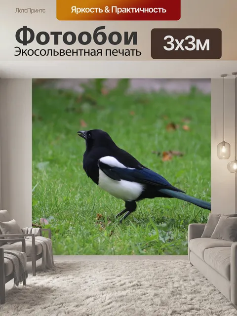 Фотообои Птица