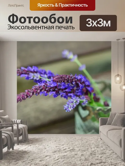 Фотообои Мудрец