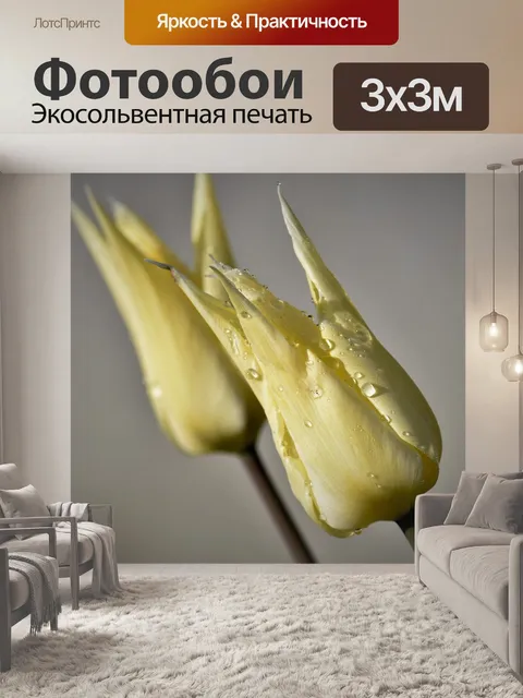 Фотообои Тюльпаны