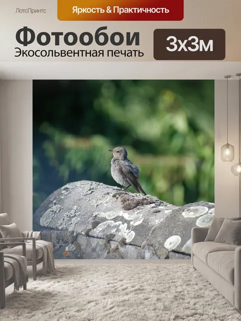 Фотообои Птица