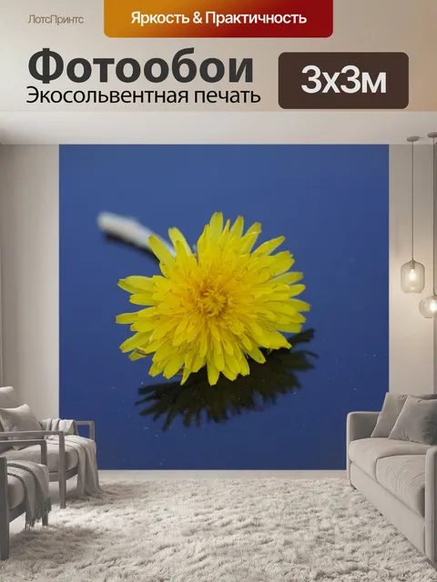 Фотообои Дандалион