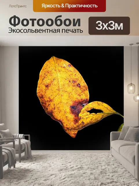 Фотообои Падение