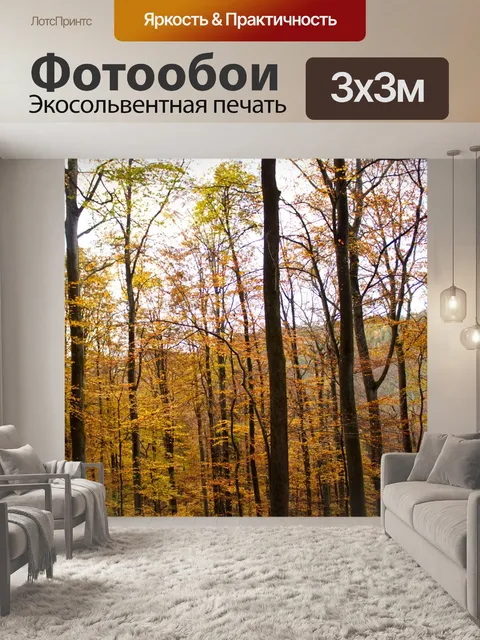 Фотообои Лес