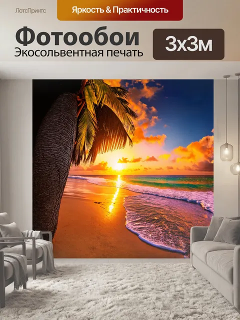 Фотообои на фотографии вид на кокосовое дерево