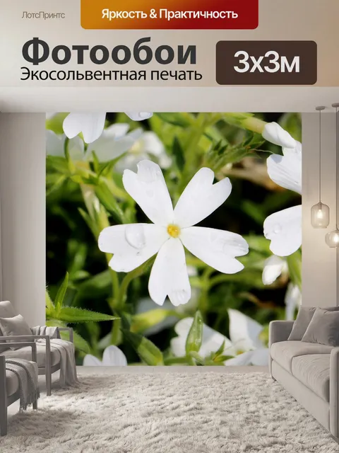 Фотообои Цветы