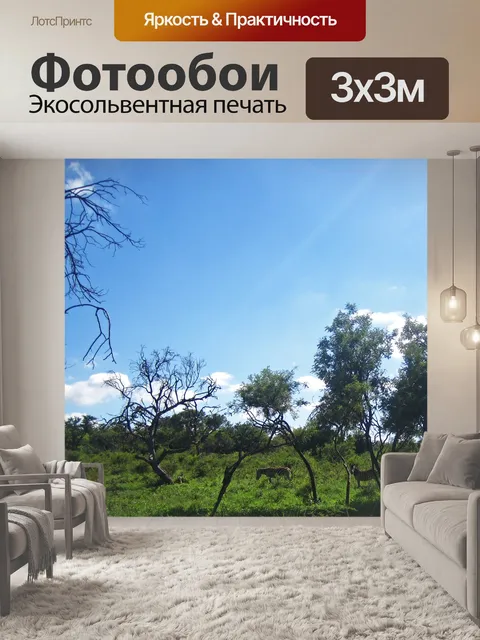 Фотообои зебра в открытом лесу летом