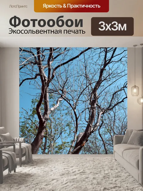 Фотообои Деревья и лес 30