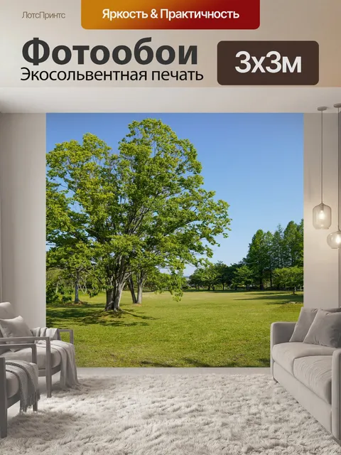 Фотообои Роща