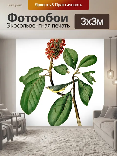 Фотообои Цветы
