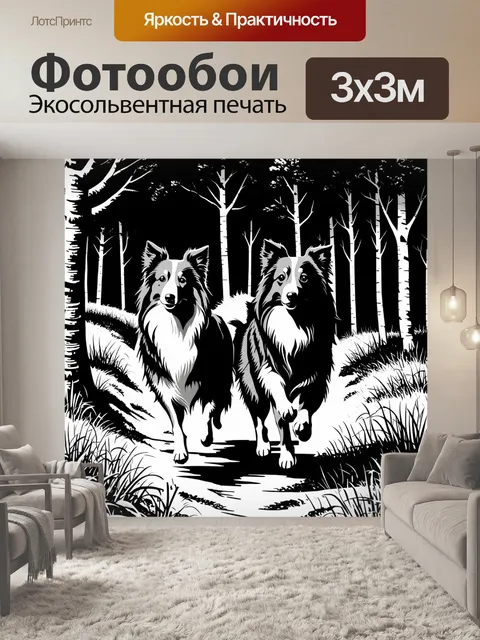 Фотообои минималистичное изображение двух шелти, бегущих по трейлу в лесу