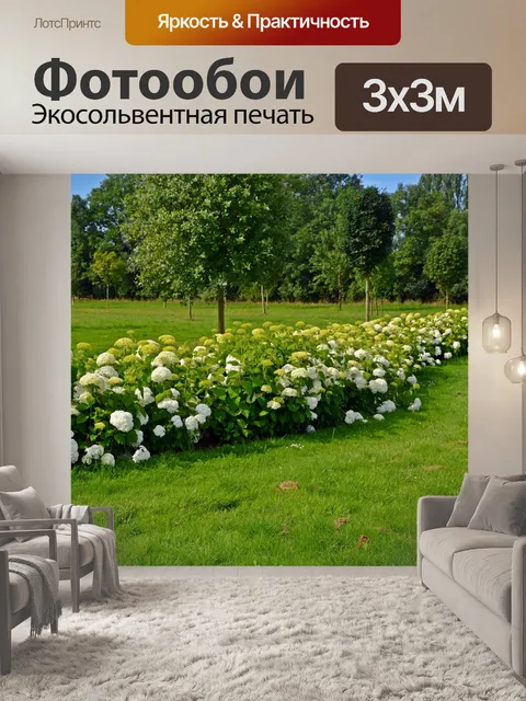 Фотообои Парк