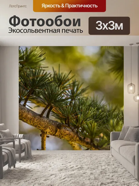 Фотообои Филиал сосны