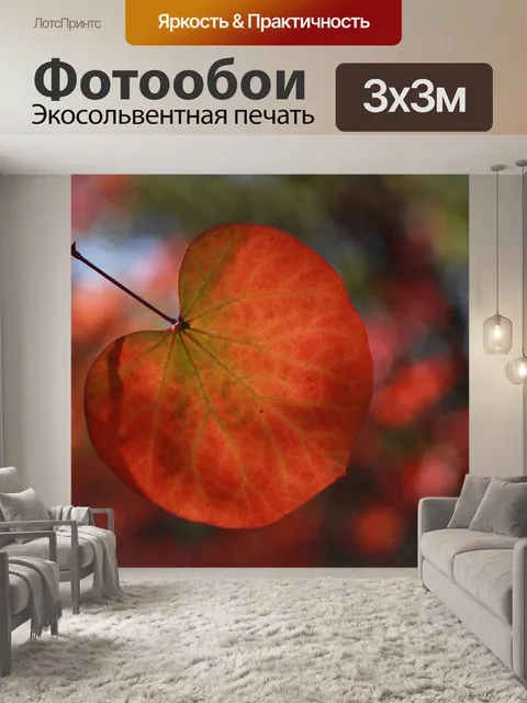 Фотообои Цвета осени