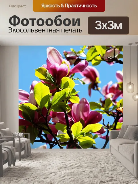 Фотообои Орхидеи