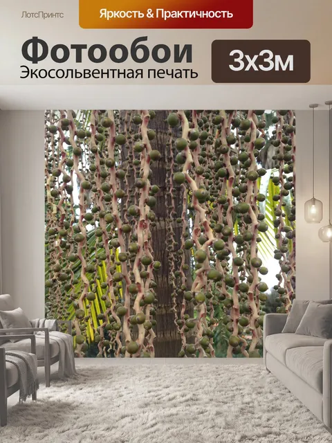 Фотообои Пальма