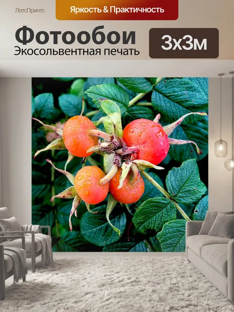 Фотообои Завод