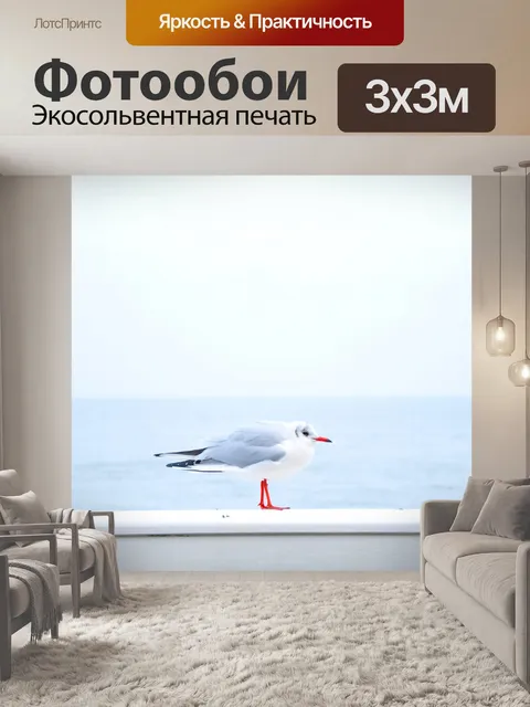 Фотообои Чайка стоящая