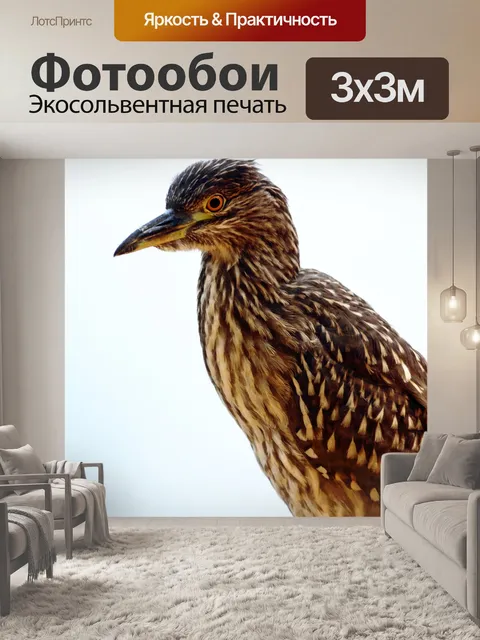 Фотообои Птица
