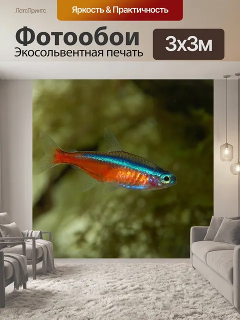 Фотообои Неон