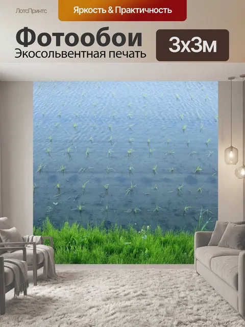 Фотообои Заливное поле