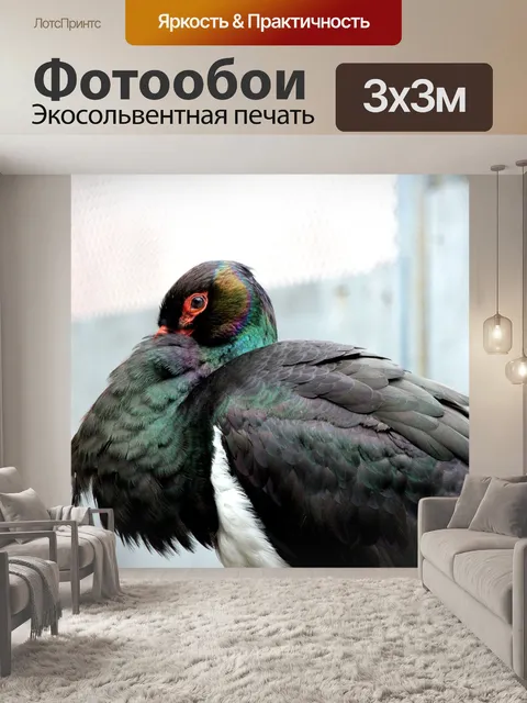 Фотообои Аист