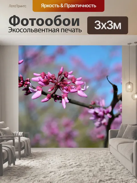 Фотообои Цветы