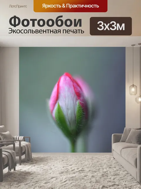 Фотообои Микро