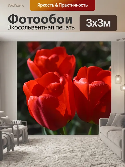 Фотообои Тюльпаны