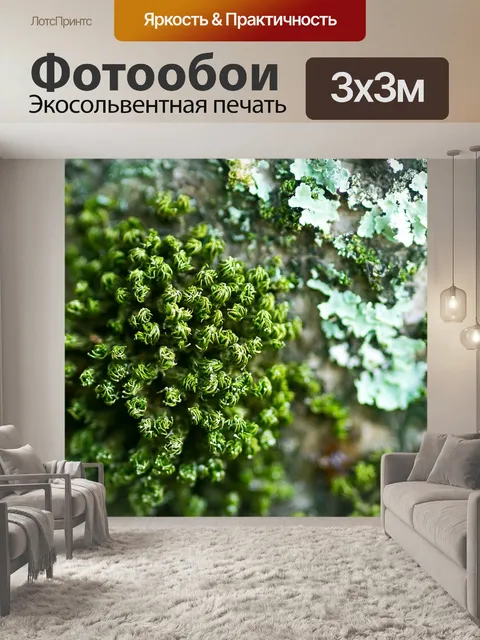 Фотообои Природа