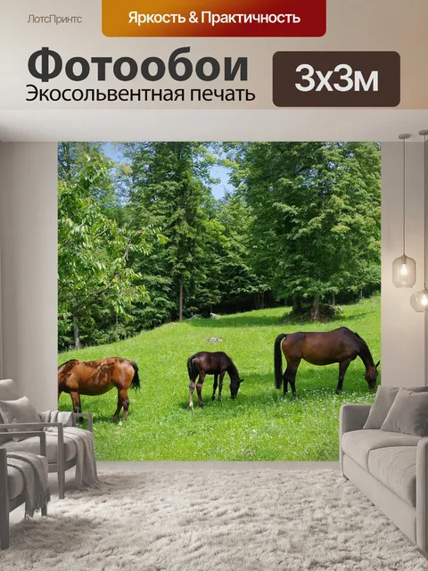 Фотообои Лошадь