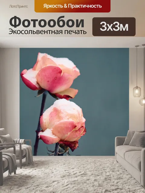 Фотообои Роза