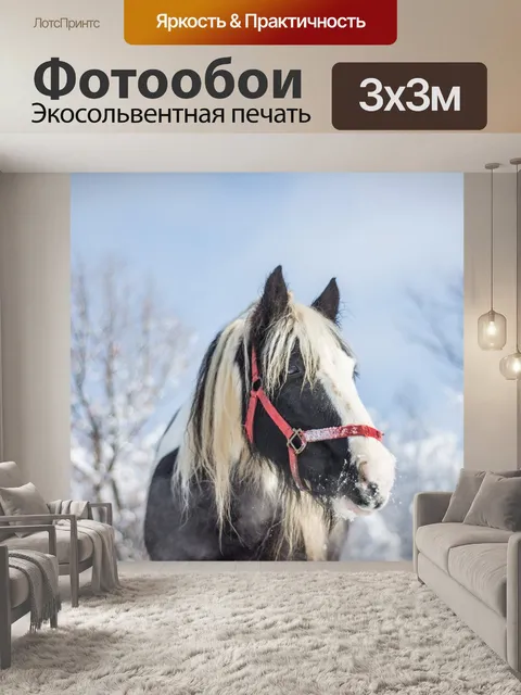 Фотообои Лошадь