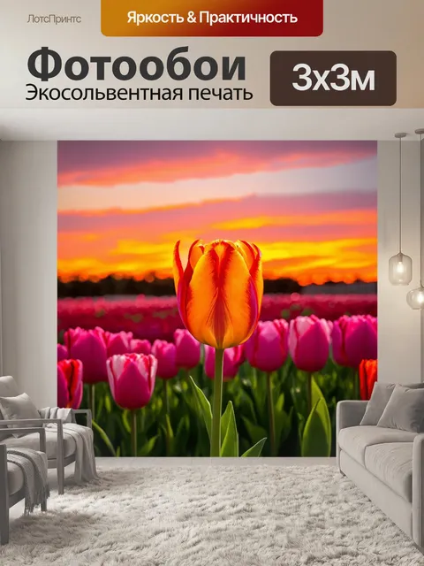 Фотообои с тюльпаном, на фоне вечернего заката, где яркий оранжевый и розовый цвет неба перекликается с насыщенными…