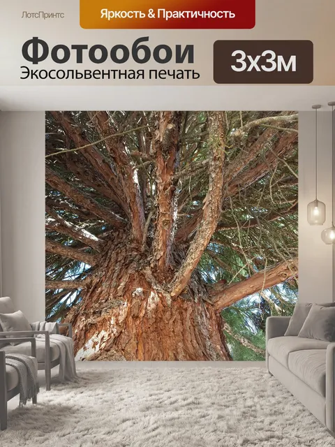 Фотообои Деревья