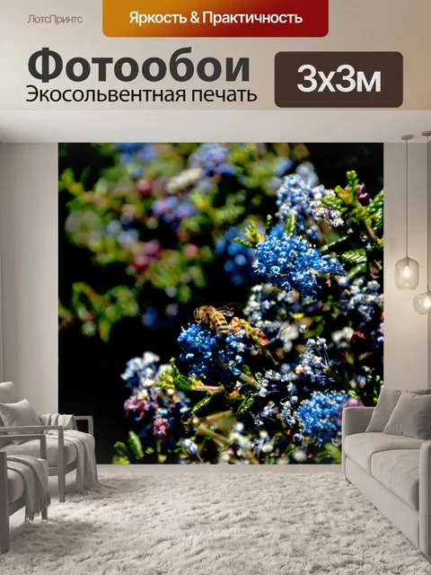 Фотообои Пчела на цветы