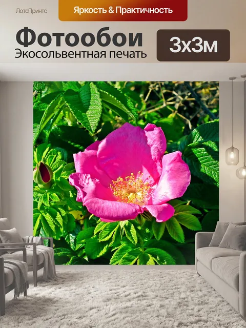 Фотообои Цветок