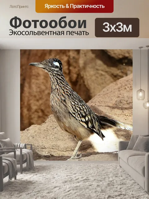 Фотообои Птица