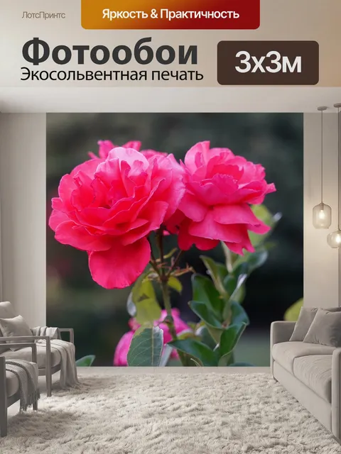 Фотообои Розы