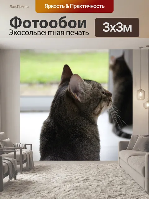 Фотообои Кошки