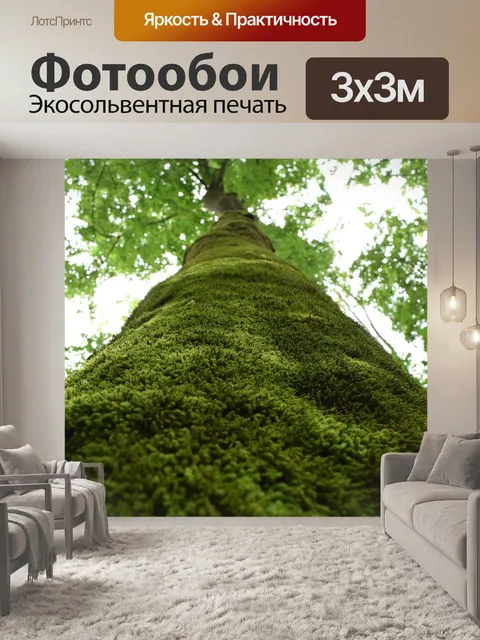 Фотообои Дерево