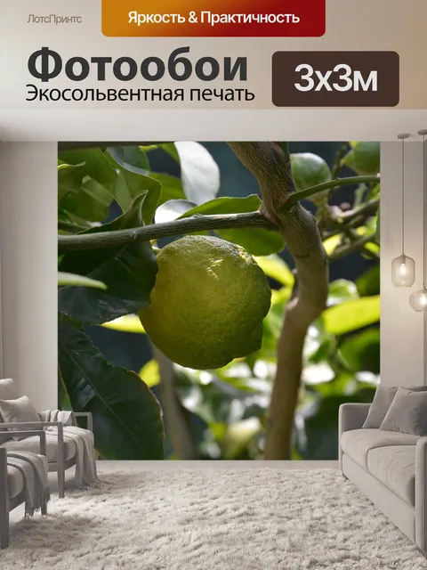 Фотообои Лимон