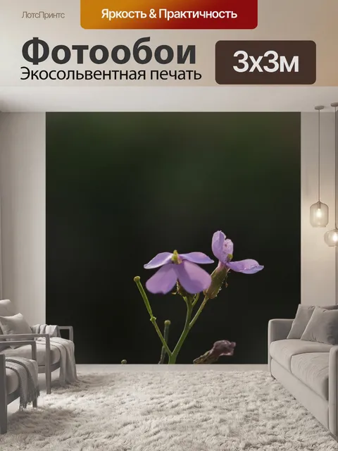 Фотообои Цветы